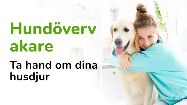 Barkio: Hundövervakare feature graphic