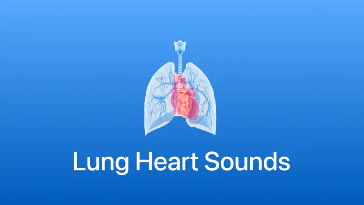 Lung Heart Sounds feature graphic
