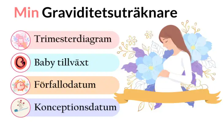 Min Graviditetsuträknare feature graphic