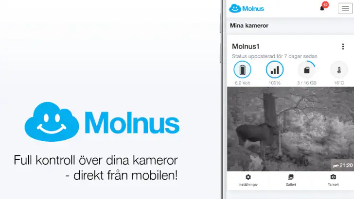 Molnus feature graphic