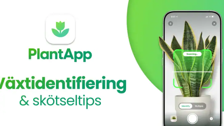 PlantApp – Identifiera växter feature graphic