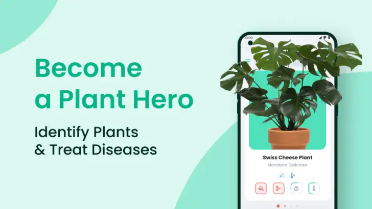 PlantIn: Plant Identification feature graphic