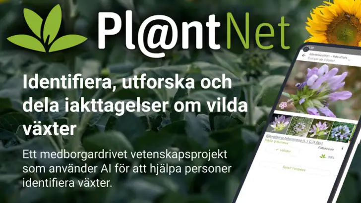 PlantNet Växtidentifiering feature graphic