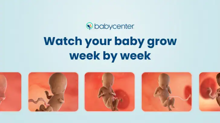 Pregnancy App & Baby Tracker feature graphic