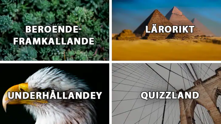 QuizzLand: quiz på svenska feature graphic