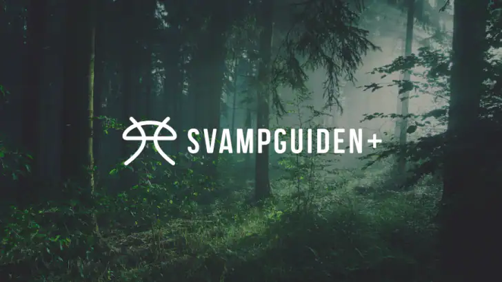 Svampguiden+ feature graphic