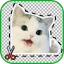 Créateur stickers: Stickers HD icon