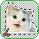 Créateur stickers: Stickers HD icon