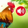 Tiergeräusche und Klingeltöne icon