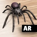ARSpiders.com: Spider on Face icon