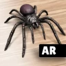 ARSpiders.com: Spider on Face icon