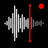 Röstinspelare & Röstmemon icon