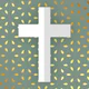 Bíblia de estudo icon