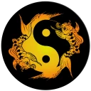 Acupuncture Assistant icon