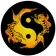 Acupuncture Assistant icon