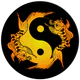 Akupunktur Assistent icon