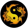 Acupuncture Assistant icon