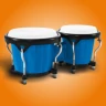 Congas & Bongos: percussions icon