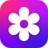 갤러리: 사진정리, 앨범 보관함 icon