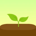 Forest: 공부 집중 & 생산성 타이머 icon