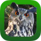 Heintges Jagdprüfung 2026 icon
