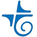 telebirr icon