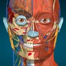 Anatomy Learning - Anatomie 3D icon