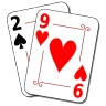 29 Card Game icon