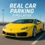 Real Car Parking Simulator icon