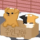 가족이되어주세요 - 강아지 고양이 키우기 icon