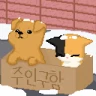 가족이되어주세요 - 강아지 고양이 키우기 icon