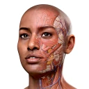 Complete Anatomy - Learn in 3D icon