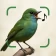 Reconnaissance Oiseaux Bird ID icon