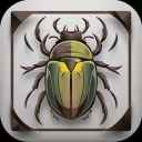 Käfer & Insekten Bestimmen icon