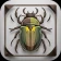 Käfer & Insekten Bestimmen icon