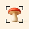 Sienitunnistus: AI Mushroom Id icon