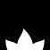 Bloomwell icon