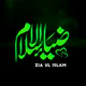 Zia Ul Islam: Quran & Hadith icon