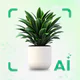 Plant Identifier - Plant Care icon