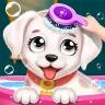 Garderie spa chiot labrador icon