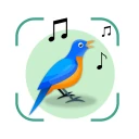 鳥の鳴き声識別。画像で鳥を識別する。 バードID完全ガイド icon