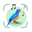 Bird Sound Identifier Bird ID icon