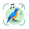 Bird Sound Identifier Bird ID icon