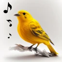 Fågelläten icon