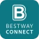 Bestway Connect (SmartSpa) icon