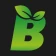 Biomotors icon