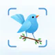 Identification des oiseaux icon