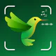 ID Bird: Bird Call Identifier icon