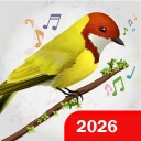 Linnut Soittoäänet icon