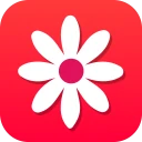 Gallery - Photo Album icon